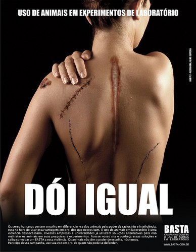 Categoria produção gráfica: revista convencional