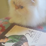 A gata metida e o livro A gata metida e o livro